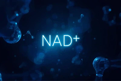 NAD+: Ključ za otključavanje stanične energije, nova granica znanstvenog anti -
